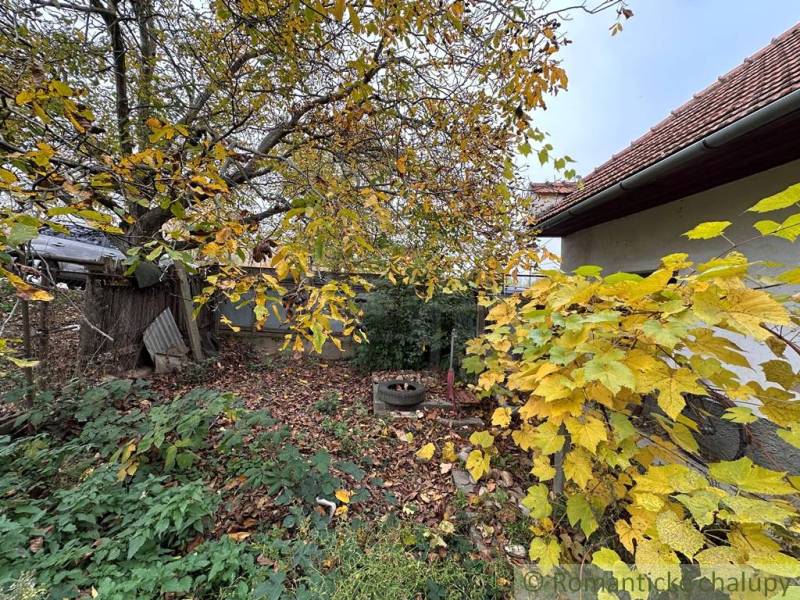 An autumn garden at a family house in Zemné with fallen leaves and an old well.