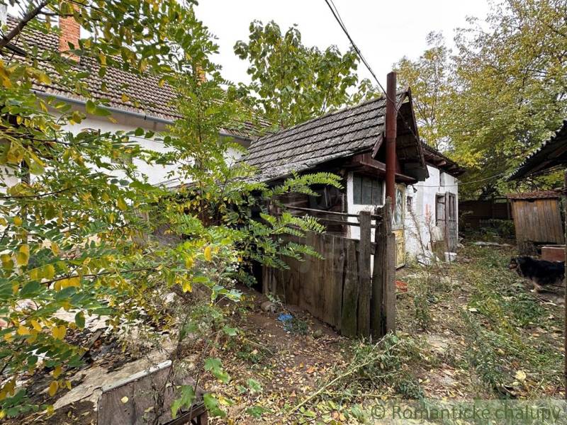The garden of an older family house in Zemné with a wooden annex and overgrown surrounding environment.
