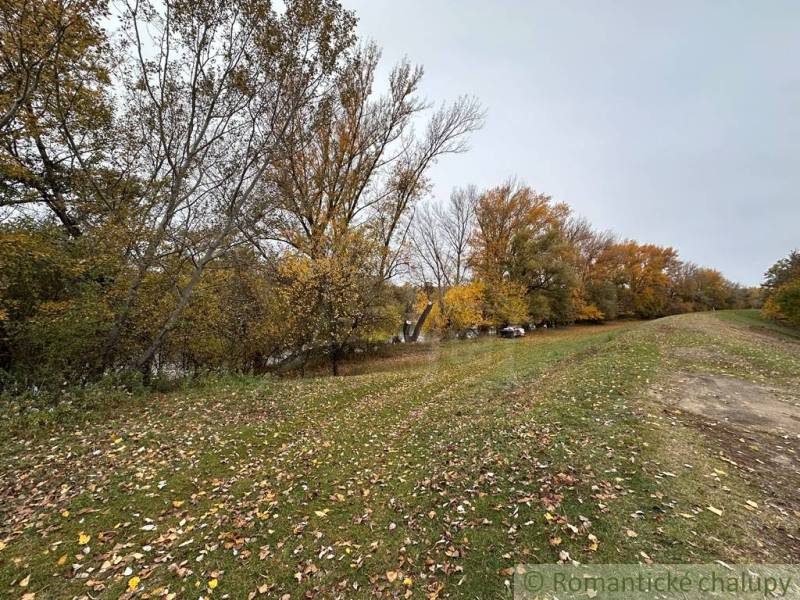 Autumn landscape in Zemné with fallen leaves and trees by the riverbank.