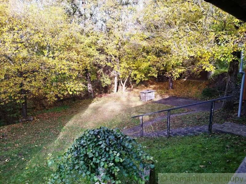 The garden by the cottage in Dudince with autumn trees and a lawn.