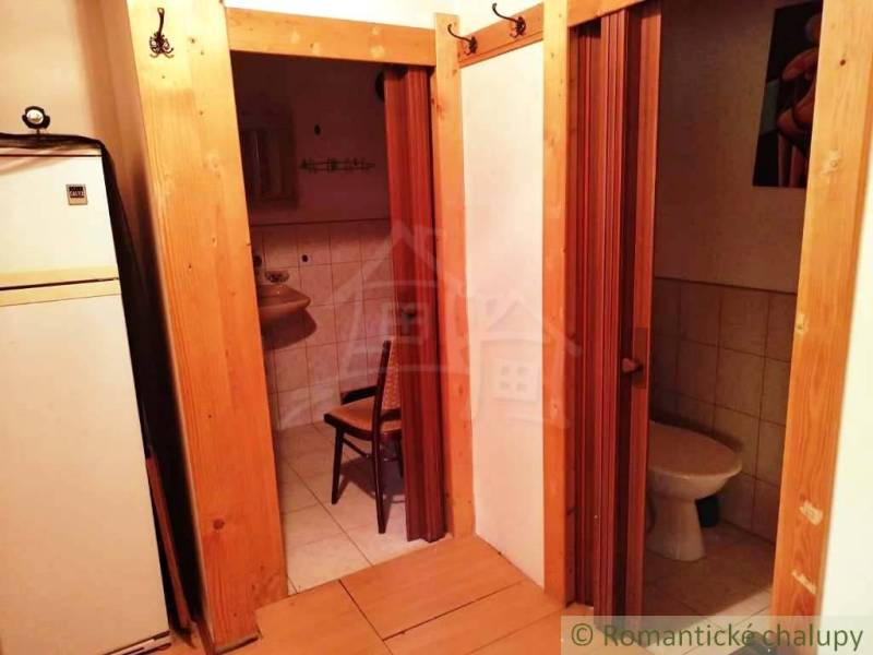 Interior of a cabin with wood-decor flooring, bathroom, and toilet.