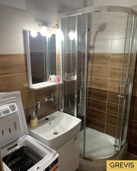 Bathroom with a washing machine and a shower in a 2-room apartment.