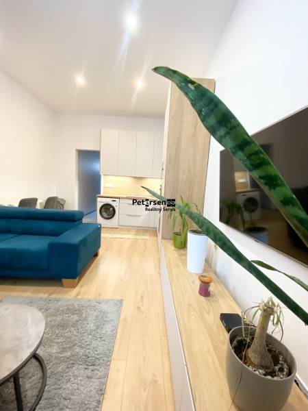 Interior photograph of a 2-room apartment with wood-patterned flooring, a blue sofa, and plants.