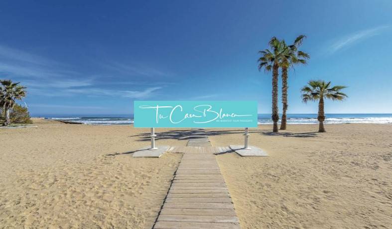 Sandy beach in Torrevieja with palm trees and an access pier to the Recreational Apartment.