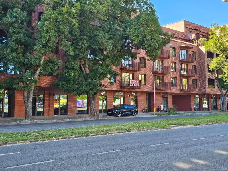 An apartment building on Košická Street in Bratislava-Ružinov covered by dense trees.