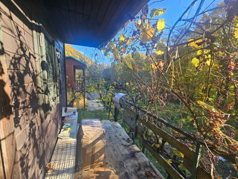 A cottage in the area of Sady pod Dedovcom in Trenčianske Teplice, surrounded by vineyards and greenery.