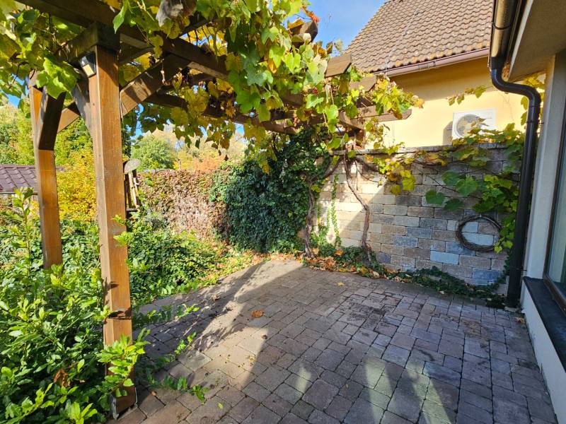 The terrace of a family house on Štúrová Street in Vráble with climbing plants and paving.