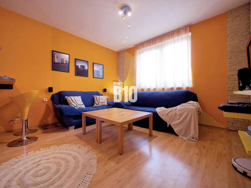 Living room in a 2-room apartment with an orange wall, blue sofa, and wooden decor flooring.