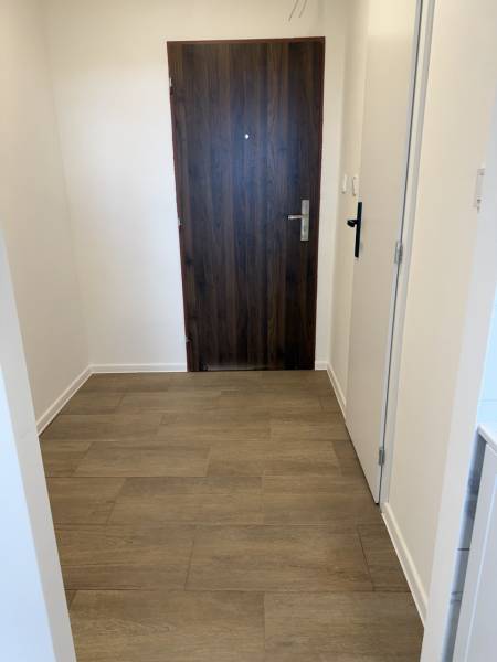 Studio apartment interior with entrance door and wood-patterned flooring.