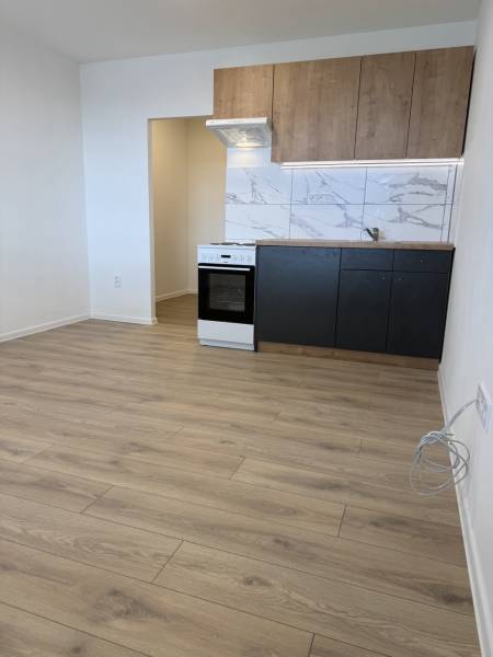 Studio apartment with a kitchenette, stove, and wood-patterned flooring.