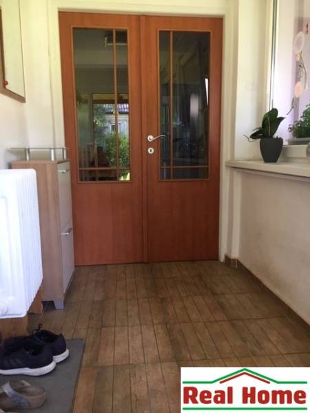 In a family house: a hallway with doors, a floor with wooden decor, plants on the windowsill.