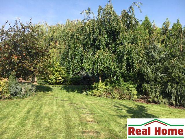 A garden at a family house in Čierna Voda, bordered by trees and a manicured lawn.