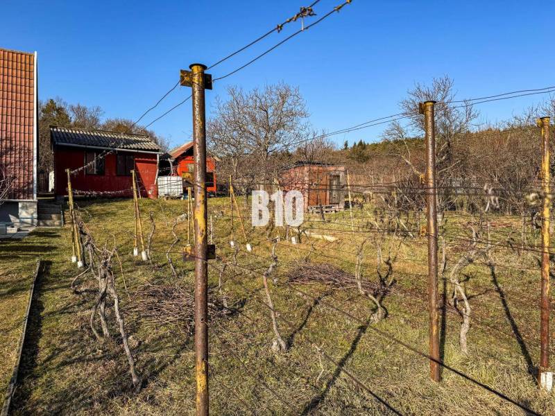 In the Gardens in Nitra, there are vineyards, sheds, and clear skies.