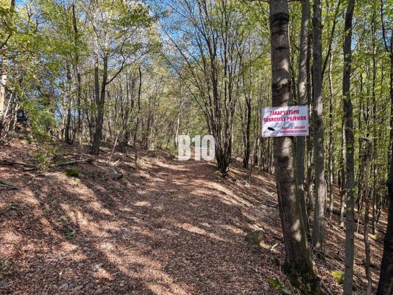 Forest road in Lackov with a sign prohibiting entry onto private property.