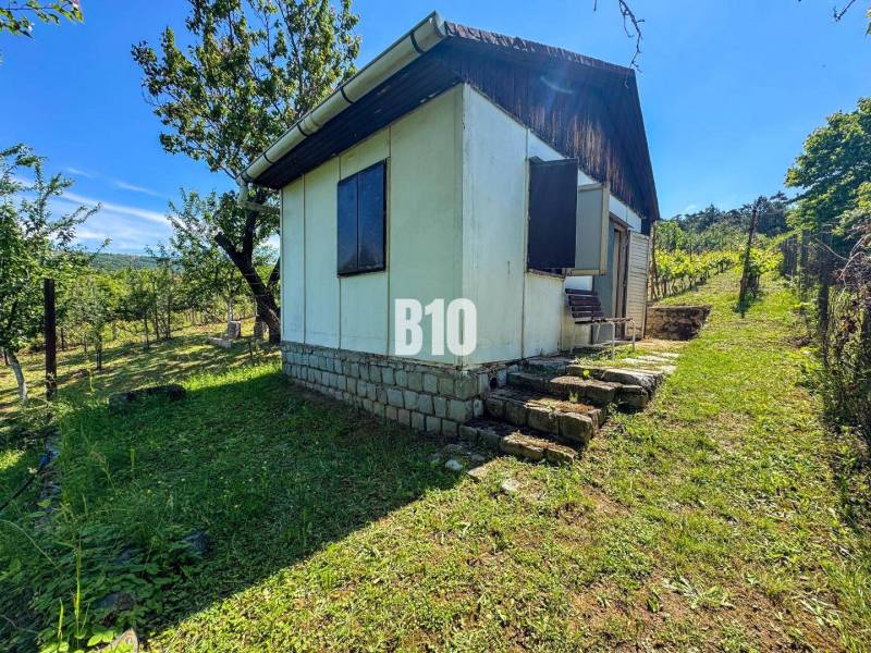 A wooden cottage in the middle of vineyards in Nitra, surrounded by greenery and trees.