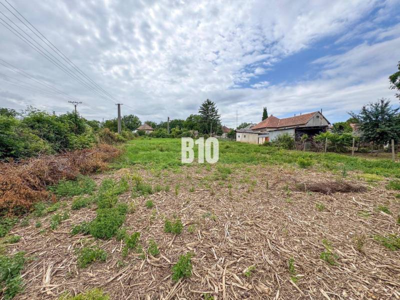 Plots - housing in Bardoňovo with a country house, surrounded by greenery and electric poles.