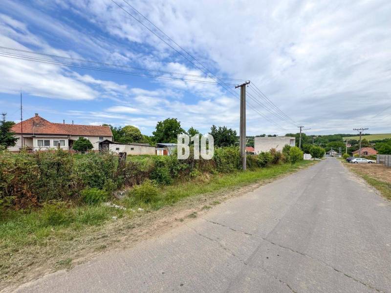A rural view of residential plots in Bardoňovo near the road and power lines.