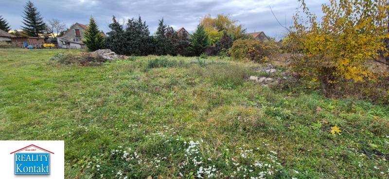 Greenery on a residential plot in Tvrdošovce, with houses and trees in the background.