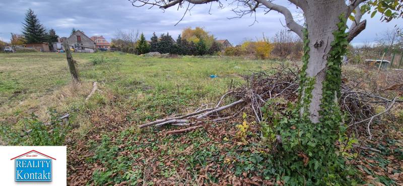 A plot in Tvrdošovce suitable for living, surrounded by trees and greenery.