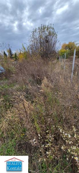 A plot of land in Tvrdošovce suitable for living with natural vegetation and trees.