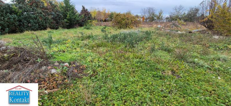 Overgrown residential plot in Tvrdošovce with dense vegetation and surrounding trees.
