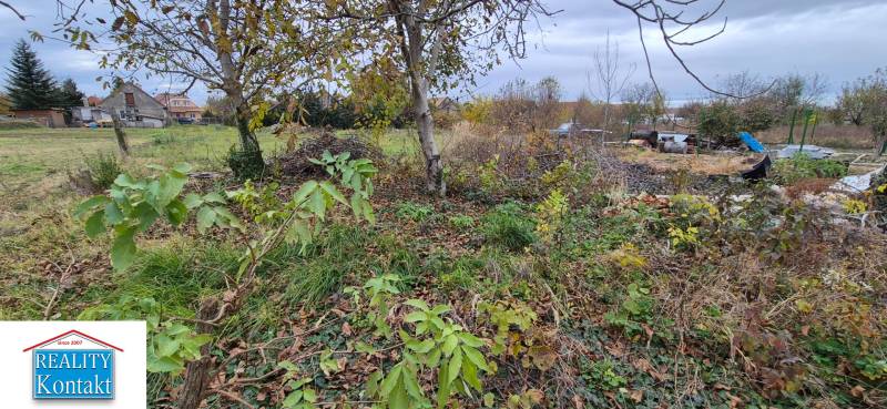 Overgrown plot for housing in Tvrdošovce with trees and a rural scenery.