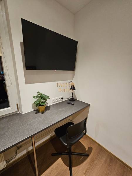 A workspace in a studio apartment with a TV, table, plant, and chair.