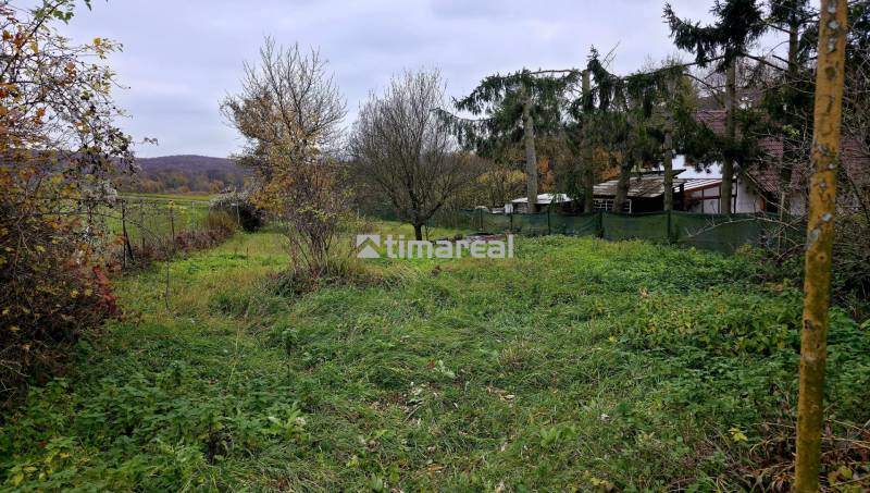A garden at a family house in Dobrá Voda with greenery and trees, a fence at the edge of the property.