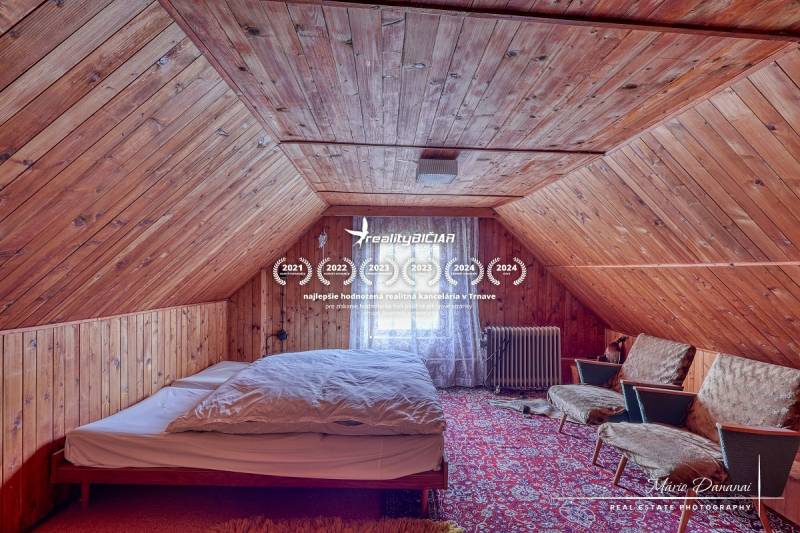 Attic room in a family house with wooden paneling and a decorative carpet.