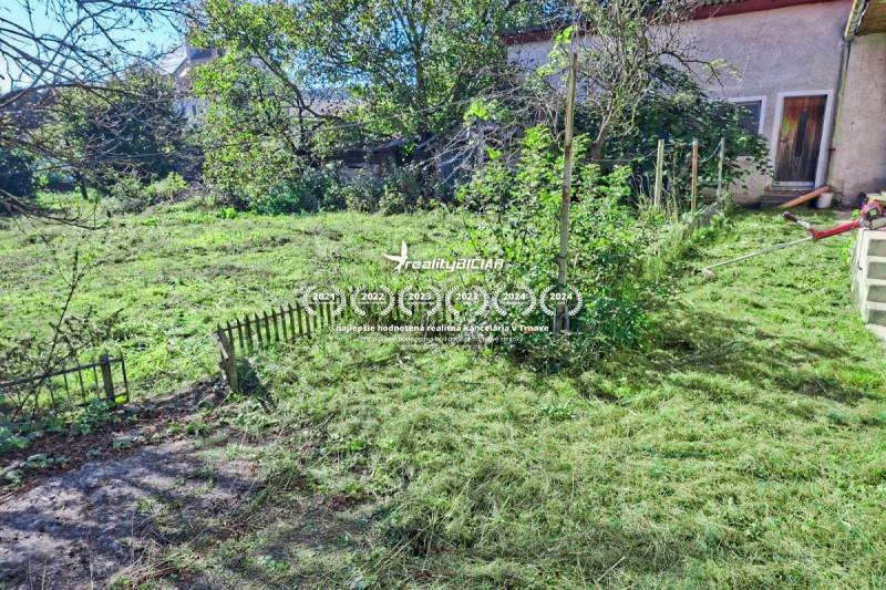 The garden at the family house in Dobrá Voda on Dobrá Voda Street with mowed grass.