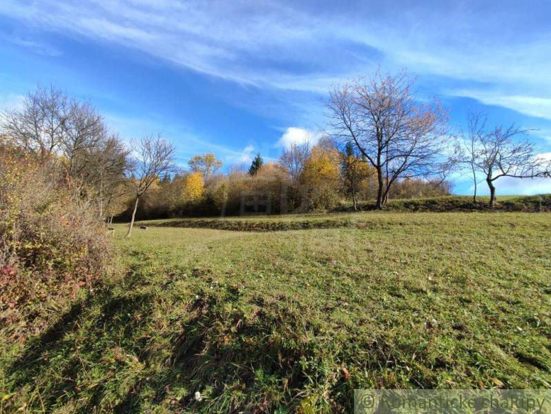 Autumn landscape in the garden near Hlboké nad Váhom with a clear sky and trees.