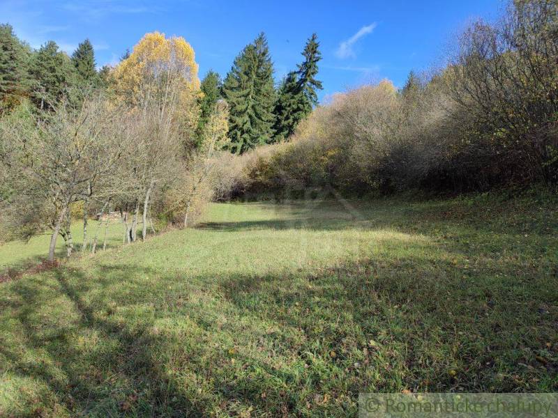 A grassy meadow surrounded by trees on the edge of gardens in Hlboké nad Váhom.