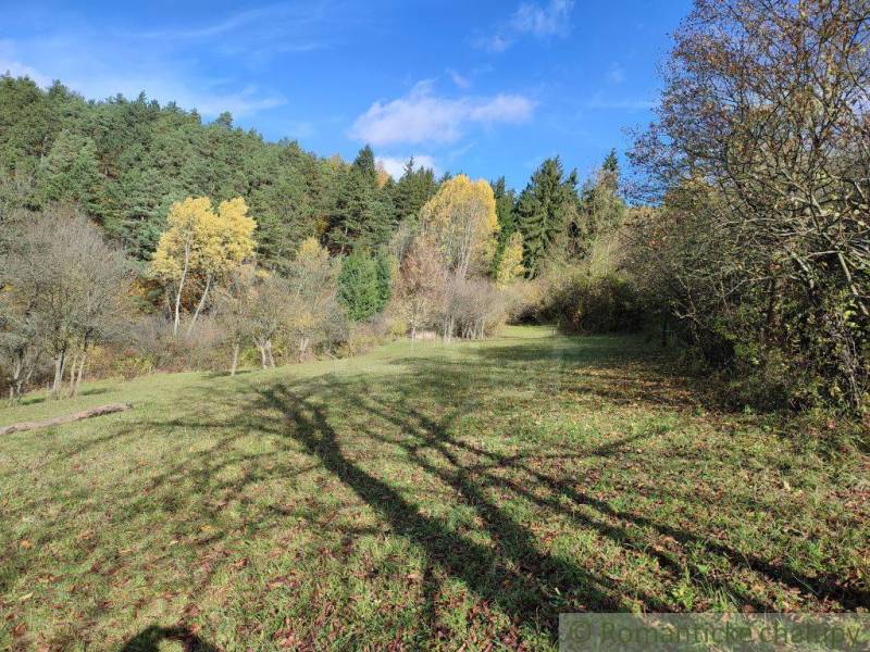 Diverse trees and green grass in the Gardens near Hlboké nad Váhom under a blue sky.