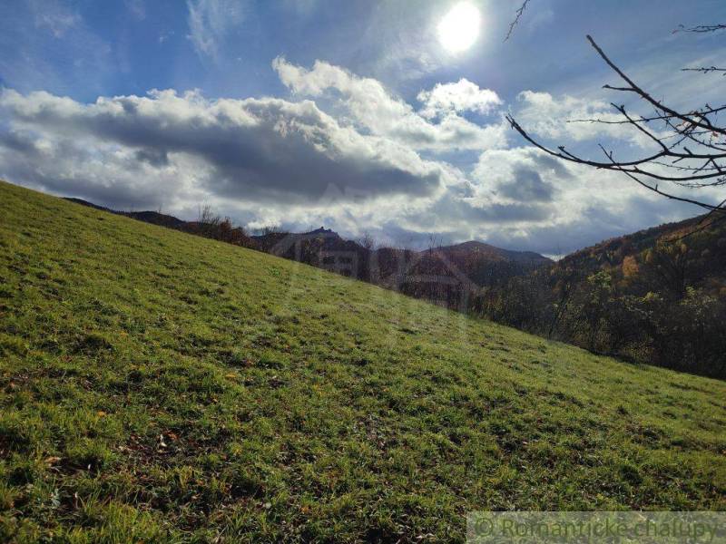 Sunny landscape in Hlboké nad Váhom, gardens, grass, trees, hills, clouds in the sky.