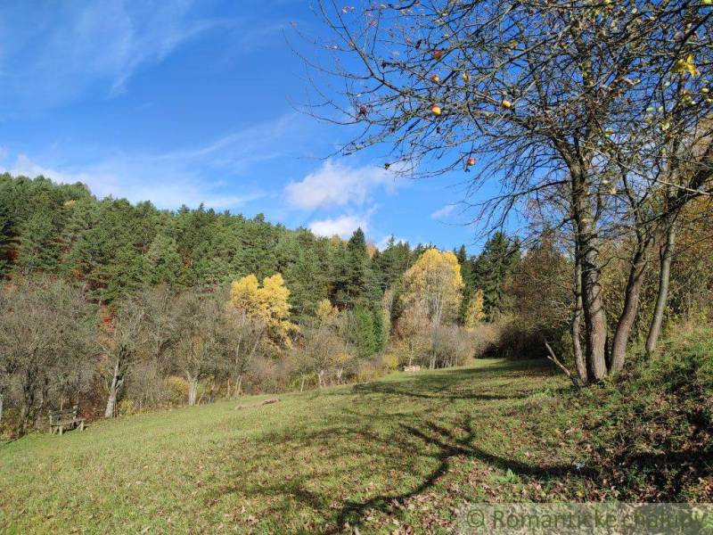 Autumn in the gardens of Hlboké nad Váhom, trees with fallen leaves and a few apples.