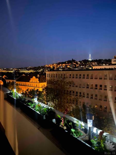 An evening view from the balcony of a 3-room apartment overlooking the illuminated city with buildings and greenery.