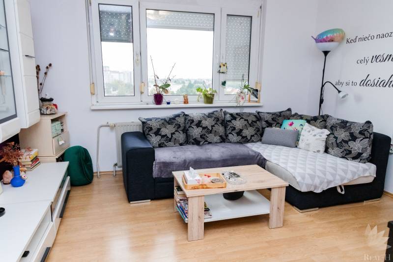 Living room with a sofa, coffee table, and wooden decor flooring in a 2-room apartment.
