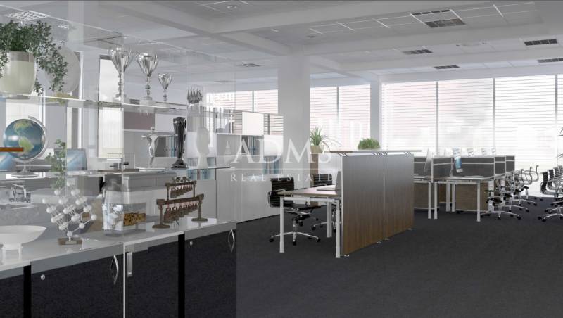 Spacious offices with desks and decorations, including trophies and plants on the shelves.