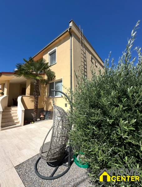 A family house in Komárno with a terrace, a garden chair, and a palm tree in the yard.