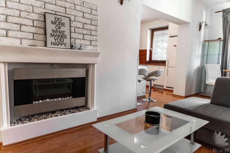 Interior of a 2-room apartment with a fireplace, sofa, and kitchenette, floor with wood decor.