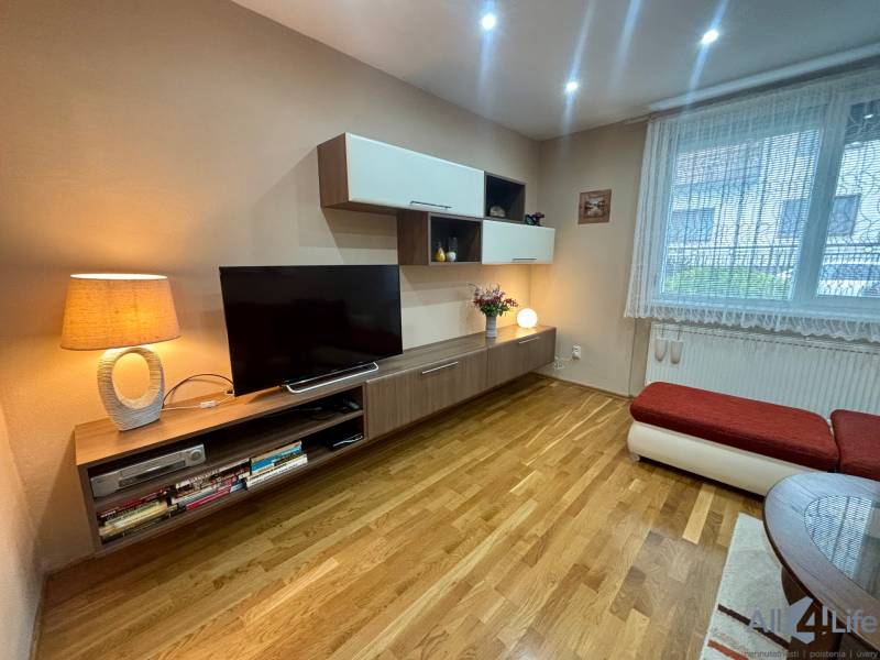 Living room in a studio apartment with a TV stand and wood-patterned flooring.