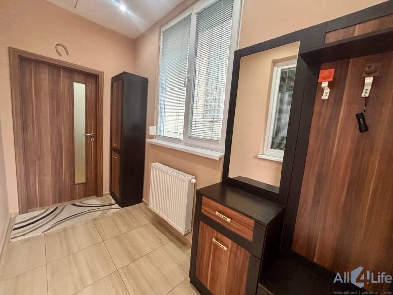 Hallway of a one-room apartment with a wooden decor floor and furniture against the wall.