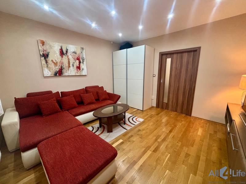 A one-room apartment with a red sofa, art on the wall, and a wood-patterned floor.
