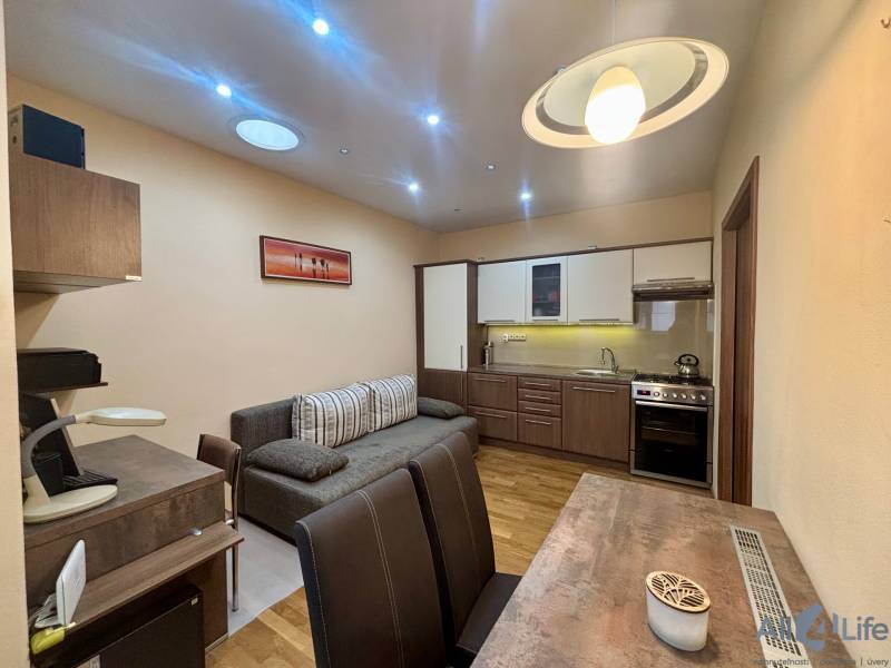 Living room with kitchen, wooden decor flooring, which characterize a studio apartment.