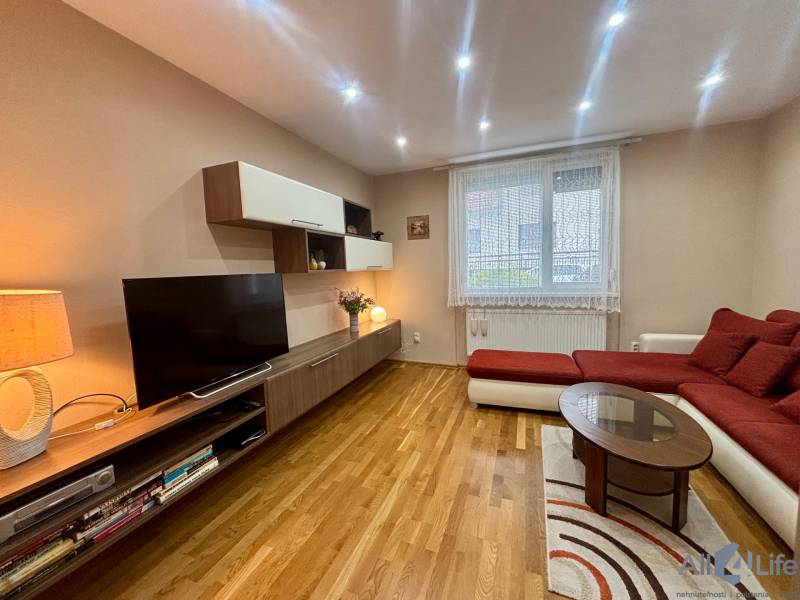 Living room in a one-room apartment with a TV, sofa, and wood-patterned flooring.