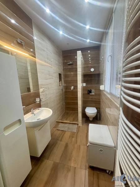 Bathroom with wood-patterned flooring, shower, and sink in a studio apartment.