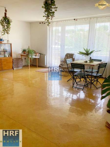 Spacious bright living room, wooden decor flooring, furniture and plants in a family house.