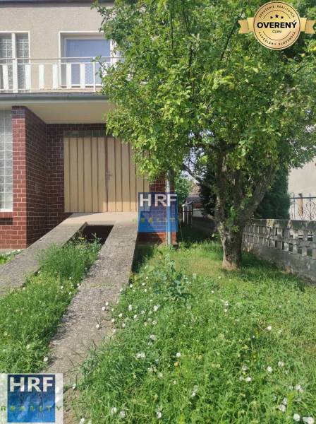 A family house on Vieska Street in Radošovce with a lawn and a tree in front of the entrance.