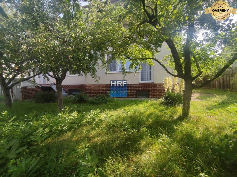 The garden at the family house on Vieska Street in Radošovce. Green grass and trees.