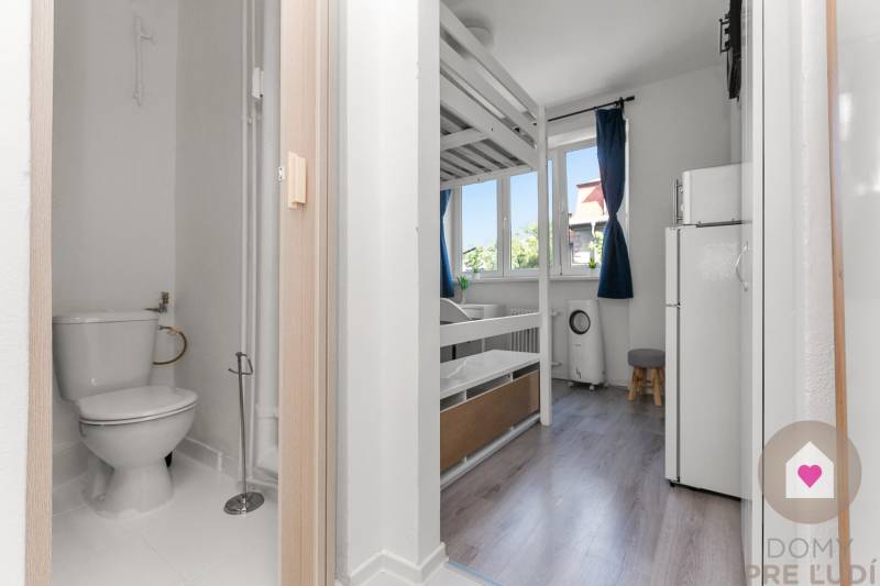 Studio apartment with a loft bed, toilet, and wooden decor flooring in a light interior.